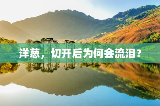 洋葱，切开后为何会流泪？
