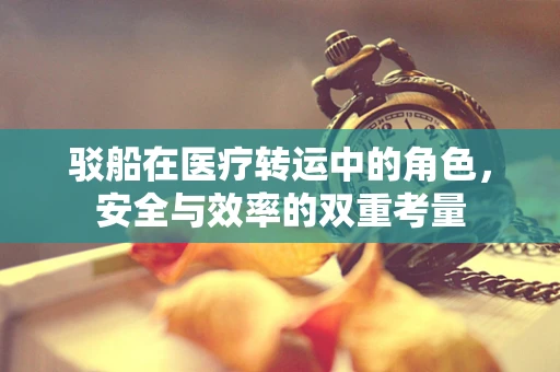 驳船在医疗转运中的角色，安全与效率的双重考量