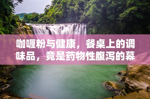 咖喱粉与健康，餐桌上的调味品，竟是药物性腹泻的幕后黑手？