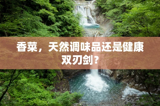 香菜，天然调味品还是健康双刃剑？