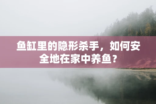 鱼缸里的隐形杀手，如何安全地在家中养鱼？