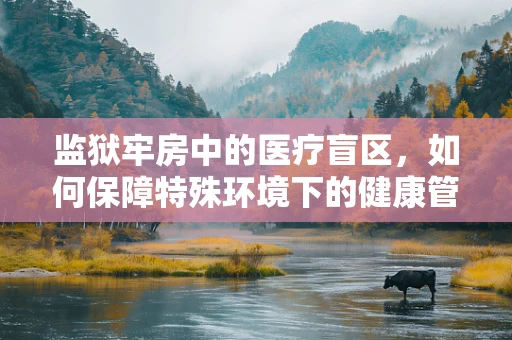 监狱牢房中的医疗盲区，如何保障特殊环境下的健康管理？