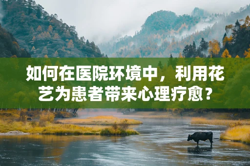 如何在医院环境中，利用花艺为患者带来心理疗愈？