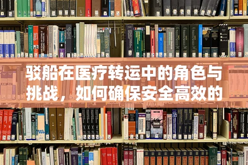 驳船在医疗转运中的角色与挑战，如何确保安全高效的紧急医疗撤离？