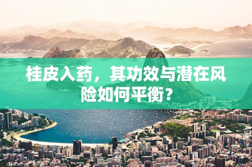桂皮入药，其功效与潜在风险如何平衡？