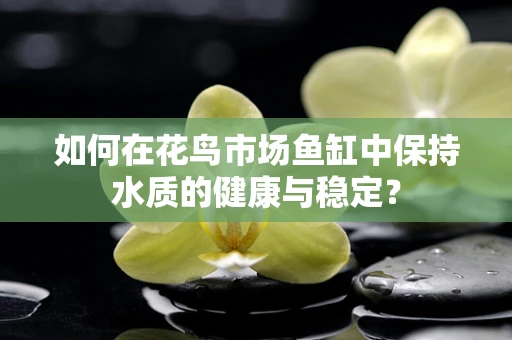 如何在花鸟市场鱼缸中保持水质的健康与稳定？