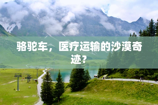 骆驼车，医疗运输的沙漠奇迹？