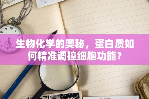 生物化学的奥秘，蛋白质如何精准调控细胞功能？