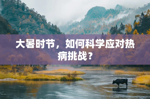 大暑时节，如何科学应对热病挑战？