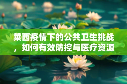莱西疫情下的公共卫生挑战，如何有效防控与医疗资源调配？