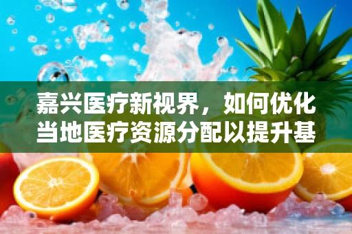 嘉兴医疗新视界，如何优化当地医疗资源分配以提升基层医疗服务？