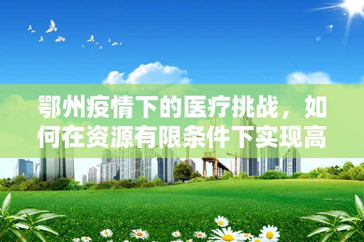 鄂州疫情下的医疗挑战，如何在资源有限条件下实现高效救治？