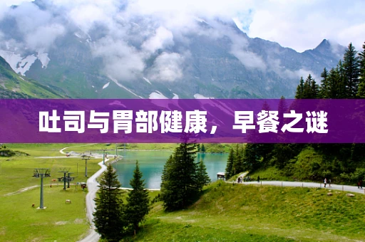 吐司与胃部健康，早餐之谜