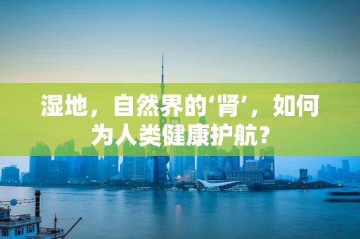湿地，自然界的‘肾’，如何为人类健康护航？