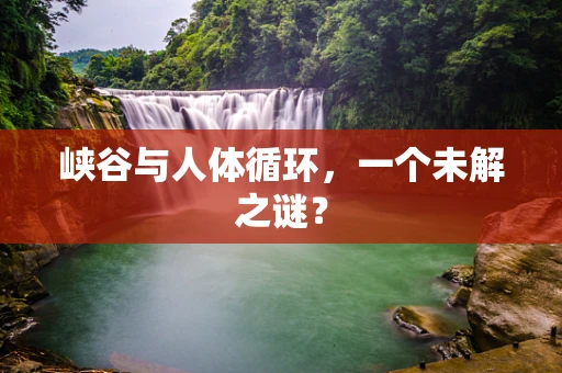 峡谷与人体循环，一个未解之谜？
