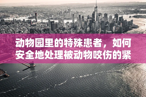 动物园里的特殊患者，如何安全地处理被动物咬伤的紧急情况？