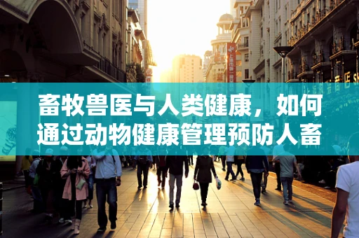 畜牧兽医与人类健康，如何通过动物健康管理预防人畜共患病？