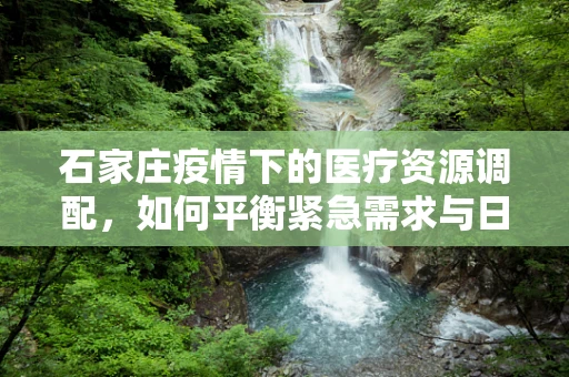 石家庄疫情下的医疗资源调配，如何平衡紧急需求与日常服务？