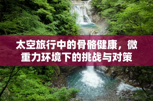 太空旅行中的骨骼健康，微重力环境下的挑战与对策