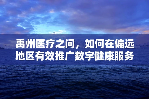 禹州医疗之问，如何在偏远地区有效推广数字健康服务？