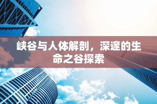 峡谷与人体解剖，深邃的生命之谷探索