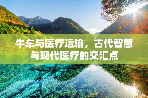 牛车与医疗运输，古代智慧与现代医疗的交汇点