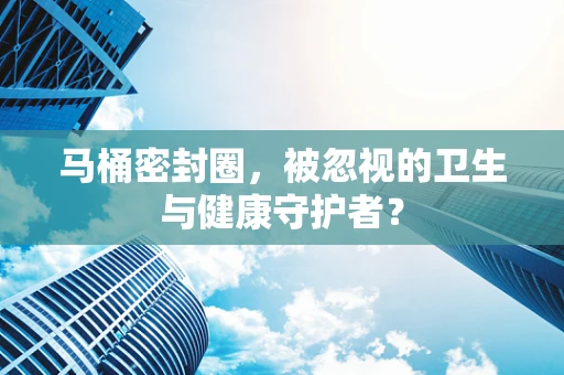 马桶密封圈，被忽视的卫生与健康守护者？