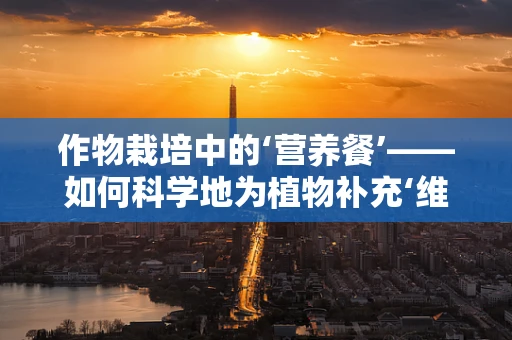 作物栽培中的‘营养餐’——如何科学地为植物补充‘维生素’？