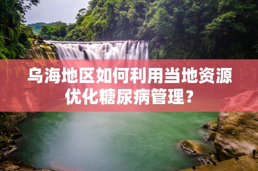 乌海地区如何利用当地资源优化糖尿病管理？