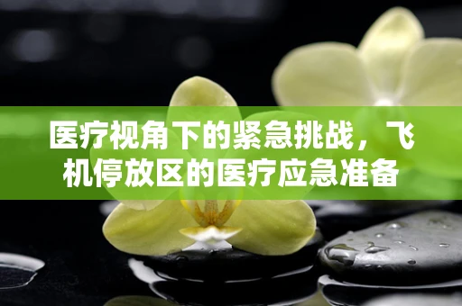 医疗视角下的紧急挑战，飞机停放区的医疗应急准备
