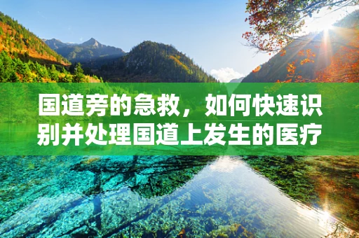 国道旁的急救，如何快速识别并处理国道上发生的医疗紧急情况？