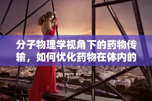 分子物理学视角下的药物传输，如何优化药物在体内的旅行路径？