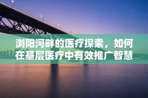 浏阳河畔的医疗探索，如何在基层医疗中有效推广智慧医疗？