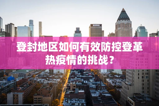 登封地区如何有效防控登革热疫情的挑战？