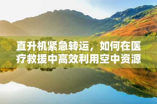 直升机紧急转运，如何在医疗救援中高效利用空中资源？