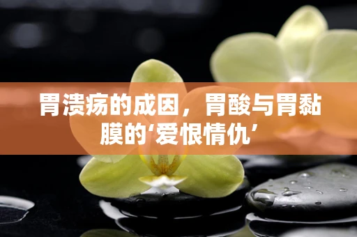 胃溃疡的成因，胃酸与胃黏膜的‘爱恨情仇’
