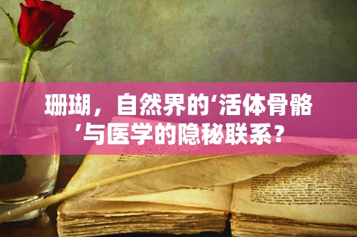 珊瑚，自然界的‘活体骨骼’与医学的隐秘联系？