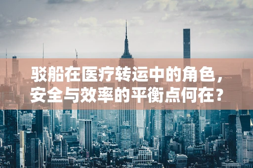驳船在医疗转运中的角色，安全与效率的平衡点何在？