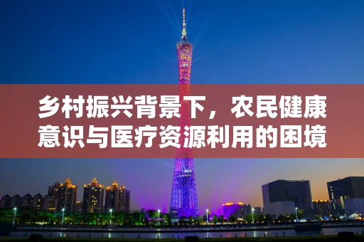 乡村振兴背景下，农民健康意识与医疗资源利用的困境