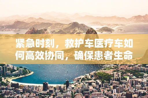 紧急时刻，救护车医疗车如何高效协同，确保患者生命线畅通？