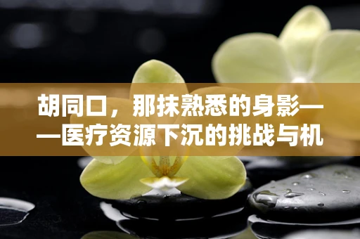 胡同口，那抹熟悉的身影——医疗资源下沉的挑战与机遇？