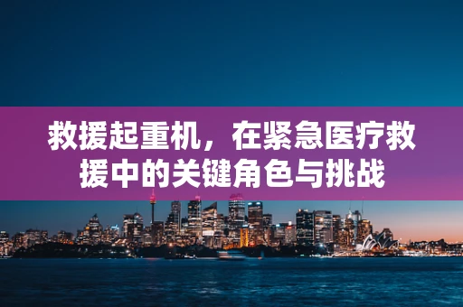 救援起重机，在紧急医疗救援中的关键角色与挑战