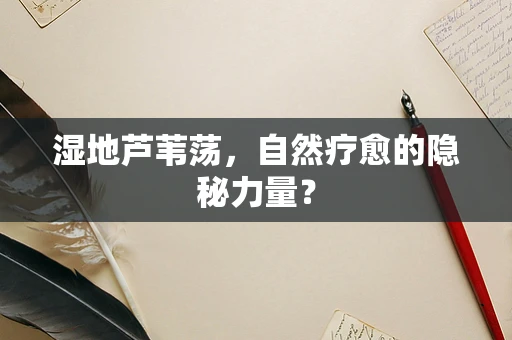 湿地芦苇荡，自然疗愈的隐秘力量？