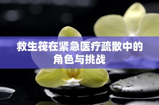 救生筏在紧急医疗疏散中的角色与挑战