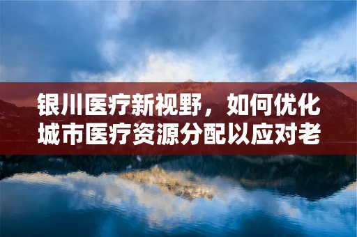 银川医疗新视野，如何优化城市医疗资源分配以应对老龄化挑战？