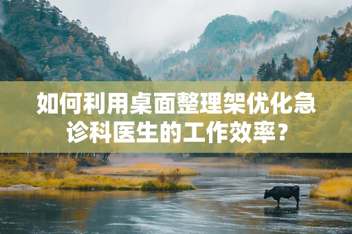 如何利用桌面整理架优化急诊科医生的工作效率？