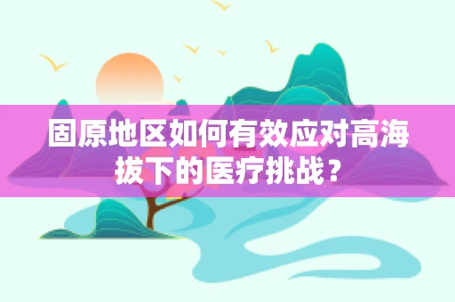 固原地区如何有效应对高海拔下的医疗挑战？