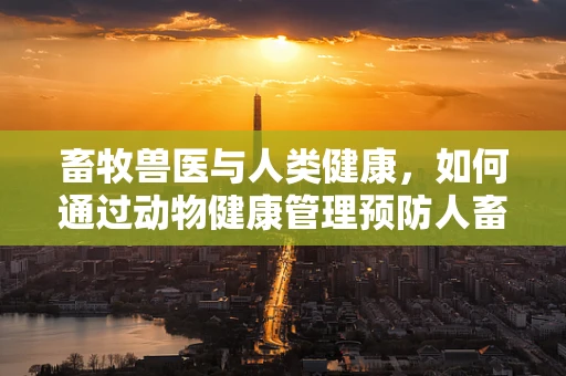 畜牧兽医与人类健康，如何通过动物健康管理预防人畜共患疾病？