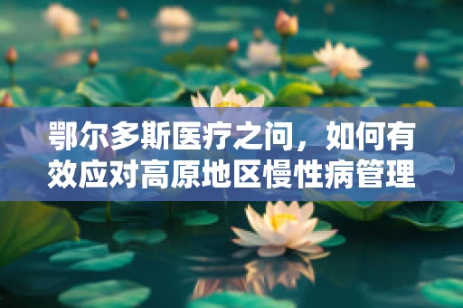 鄂尔多斯医疗之问，如何有效应对高原地区慢性病管理挑战？