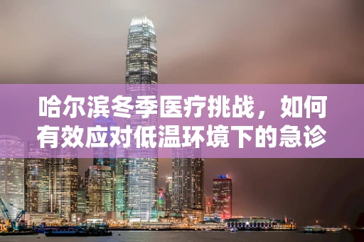 哈尔滨冬季医疗挑战，如何有效应对低温环境下的急诊救治？